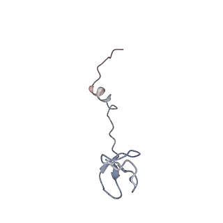 22464_7jsz_B_v1-1
ArfB Rescue of a 70S Ribosome stalled on truncated mRNA with a partial A-site codon (+2-IV)