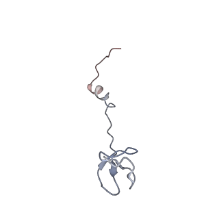 22464_7jsz_B_v1-2
ArfB Rescue of a 70S Ribosome stalled on truncated mRNA with a partial A-site codon (+2-IV)