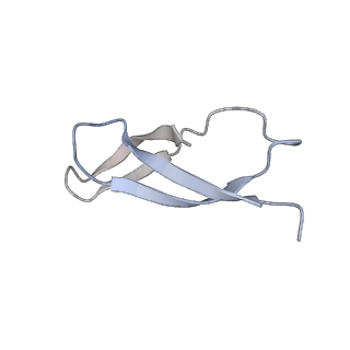 22464_7jsz_C_v1-2
ArfB Rescue of a 70S Ribosome stalled on truncated mRNA with a partial A-site codon (+2-IV)