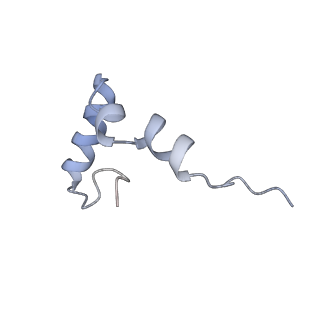 22464_7jsz_D_v1-1
ArfB Rescue of a 70S Ribosome stalled on truncated mRNA with a partial A-site codon (+2-IV)