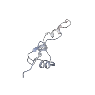 22464_7jsz_E_v1-1
ArfB Rescue of a 70S Ribosome stalled on truncated mRNA with a partial A-site codon (+2-IV)