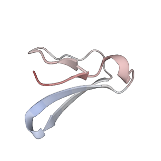 22464_7jsz_F_v1-2
ArfB Rescue of a 70S Ribosome stalled on truncated mRNA with a partial A-site codon (+2-IV)