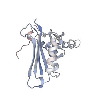 22464_7jsz_H_v1-1
ArfB Rescue of a 70S Ribosome stalled on truncated mRNA with a partial A-site codon (+2-IV)