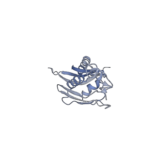 22464_7jsz_J_v1-2
ArfB Rescue of a 70S Ribosome stalled on truncated mRNA with a partial A-site codon (+2-IV)