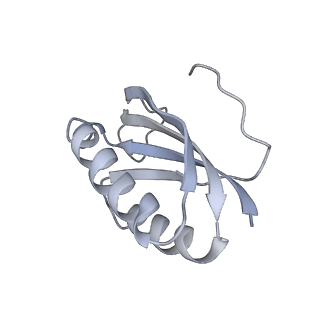 22464_7jsz_K_v1-1
ArfB Rescue of a 70S Ribosome stalled on truncated mRNA with a partial A-site codon (+2-IV)