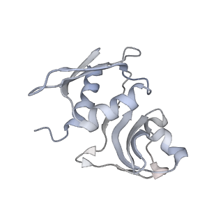 22464_7jsz_M_v1-2
ArfB Rescue of a 70S Ribosome stalled on truncated mRNA with a partial A-site codon (+2-IV)