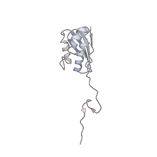 22464_7jsz_N_v1-1
ArfB Rescue of a 70S Ribosome stalled on truncated mRNA with a partial A-site codon (+2-IV)