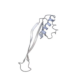 22464_7jsz_O_v1-1
ArfB Rescue of a 70S Ribosome stalled on truncated mRNA with a partial A-site codon (+2-IV)