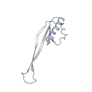 22464_7jsz_O_v1-2
ArfB Rescue of a 70S Ribosome stalled on truncated mRNA with a partial A-site codon (+2-IV)