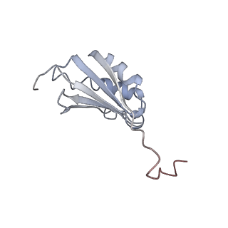 22464_7jsz_P_v1-1
ArfB Rescue of a 70S Ribosome stalled on truncated mRNA with a partial A-site codon (+2-IV)