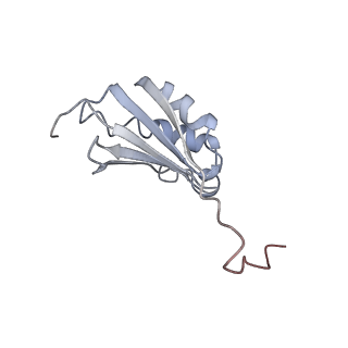 22464_7jsz_P_v1-2
ArfB Rescue of a 70S Ribosome stalled on truncated mRNA with a partial A-site codon (+2-IV)