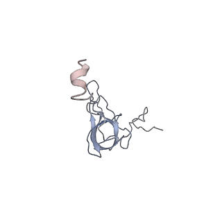 22464_7jsz_Q_v1-1
ArfB Rescue of a 70S Ribosome stalled on truncated mRNA with a partial A-site codon (+2-IV)