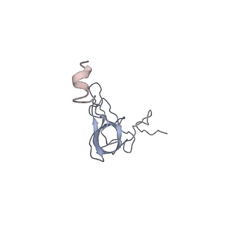 22464_7jsz_Q_v1-2
ArfB Rescue of a 70S Ribosome stalled on truncated mRNA with a partial A-site codon (+2-IV)