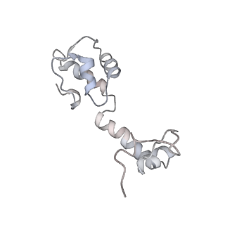 22464_7jsz_R_v1-1
ArfB Rescue of a 70S Ribosome stalled on truncated mRNA with a partial A-site codon (+2-IV)