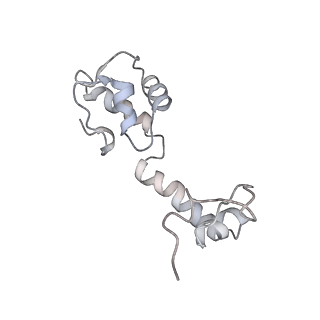 22464_7jsz_R_v1-2
ArfB Rescue of a 70S Ribosome stalled on truncated mRNA with a partial A-site codon (+2-IV)