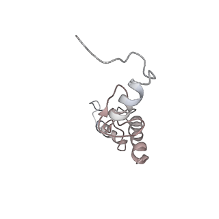 22464_7jsz_S_v1-1
ArfB Rescue of a 70S Ribosome stalled on truncated mRNA with a partial A-site codon (+2-IV)