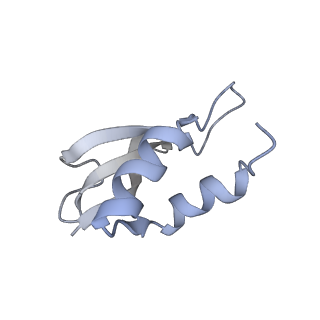 22464_7jsz_U_v1-2
ArfB Rescue of a 70S Ribosome stalled on truncated mRNA with a partial A-site codon (+2-IV)