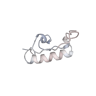 22464_7jsz_W_v1-1
ArfB Rescue of a 70S Ribosome stalled on truncated mRNA with a partial A-site codon (+2-IV)