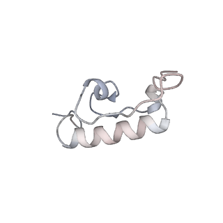 22464_7jsz_W_v1-2
ArfB Rescue of a 70S Ribosome stalled on truncated mRNA with a partial A-site codon (+2-IV)