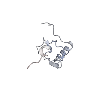 22464_7jsz_X_v1-1
ArfB Rescue of a 70S Ribosome stalled on truncated mRNA with a partial A-site codon (+2-IV)