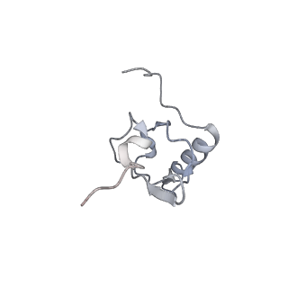 22464_7jsz_X_v1-2
ArfB Rescue of a 70S Ribosome stalled on truncated mRNA with a partial A-site codon (+2-IV)