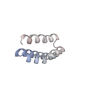 22464_7jsz_Y_v1-2
ArfB Rescue of a 70S Ribosome stalled on truncated mRNA with a partial A-site codon (+2-IV)