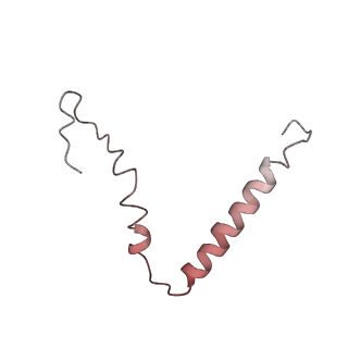 22464_7jsz_Z_v1-2
ArfB Rescue of a 70S Ribosome stalled on truncated mRNA with a partial A-site codon (+2-IV)