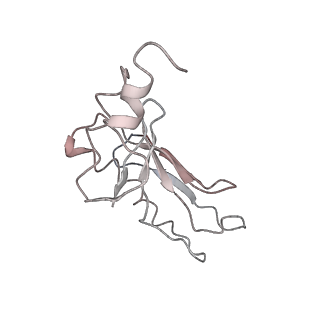 22464_7jsz_a_v1-1
ArfB Rescue of a 70S Ribosome stalled on truncated mRNA with a partial A-site codon (+2-IV)