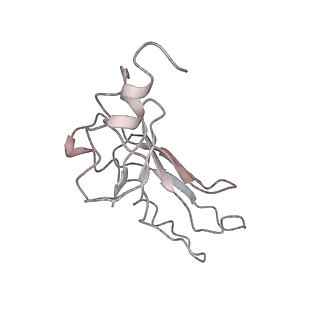 22464_7jsz_a_v1-2
ArfB Rescue of a 70S Ribosome stalled on truncated mRNA with a partial A-site codon (+2-IV)