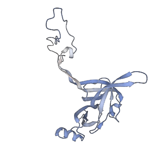 22464_7jsz_c_v1-1
ArfB Rescue of a 70S Ribosome stalled on truncated mRNA with a partial A-site codon (+2-IV)