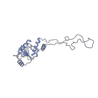 22464_7jsz_d_v1-1
ArfB Rescue of a 70S Ribosome stalled on truncated mRNA with a partial A-site codon (+2-IV)