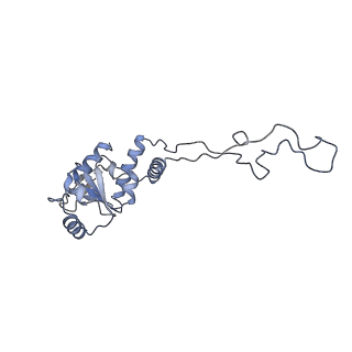 22464_7jsz_d_v1-2
ArfB Rescue of a 70S Ribosome stalled on truncated mRNA with a partial A-site codon (+2-IV)