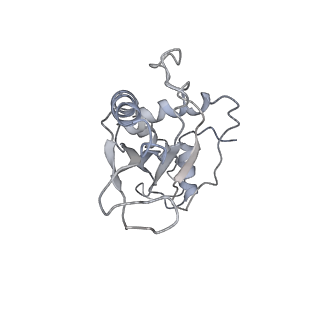 22464_7jsz_e_v1-1
ArfB Rescue of a 70S Ribosome stalled on truncated mRNA with a partial A-site codon (+2-IV)