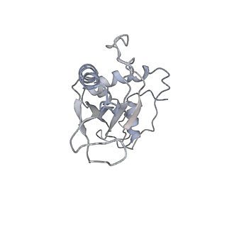 22464_7jsz_e_v1-2
ArfB Rescue of a 70S Ribosome stalled on truncated mRNA with a partial A-site codon (+2-IV)