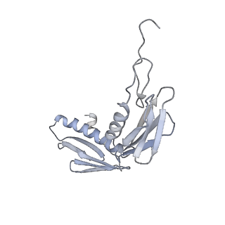 22464_7jsz_f_v1-1
ArfB Rescue of a 70S Ribosome stalled on truncated mRNA with a partial A-site codon (+2-IV)