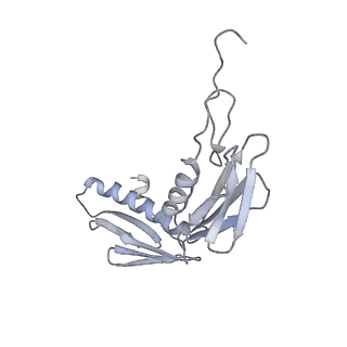 22464_7jsz_f_v1-2
ArfB Rescue of a 70S Ribosome stalled on truncated mRNA with a partial A-site codon (+2-IV)