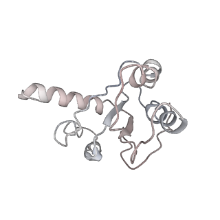22464_7jsz_h_v1-1
ArfB Rescue of a 70S Ribosome stalled on truncated mRNA with a partial A-site codon (+2-IV)