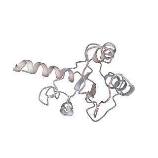 22464_7jsz_h_v1-2
ArfB Rescue of a 70S Ribosome stalled on truncated mRNA with a partial A-site codon (+2-IV)