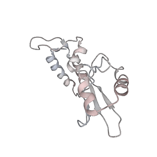 22464_7jsz_i_v1-1
ArfB Rescue of a 70S Ribosome stalled on truncated mRNA with a partial A-site codon (+2-IV)
