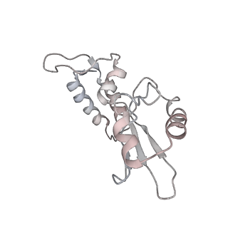 22464_7jsz_i_v1-2
ArfB Rescue of a 70S Ribosome stalled on truncated mRNA with a partial A-site codon (+2-IV)