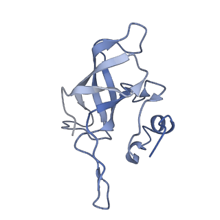 22464_7jsz_k_v1-1
ArfB Rescue of a 70S Ribosome stalled on truncated mRNA with a partial A-site codon (+2-IV)