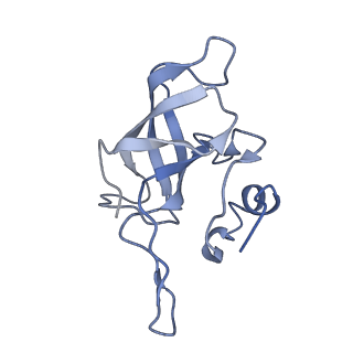 22464_7jsz_k_v1-2
ArfB Rescue of a 70S Ribosome stalled on truncated mRNA with a partial A-site codon (+2-IV)