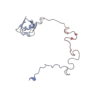 22464_7jsz_l_v1-1
ArfB Rescue of a 70S Ribosome stalled on truncated mRNA with a partial A-site codon (+2-IV)