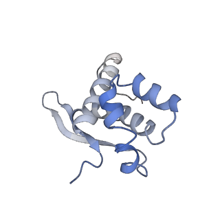 22464_7jsz_n_v1-1
ArfB Rescue of a 70S Ribosome stalled on truncated mRNA with a partial A-site codon (+2-IV)
