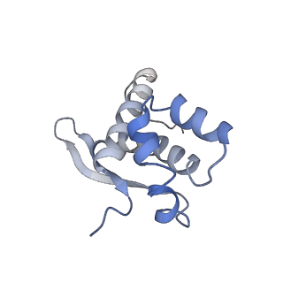 22464_7jsz_n_v1-2
ArfB Rescue of a 70S Ribosome stalled on truncated mRNA with a partial A-site codon (+2-IV)