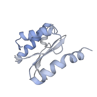 22464_7jsz_o_v1-1
ArfB Rescue of a 70S Ribosome stalled on truncated mRNA with a partial A-site codon (+2-IV)