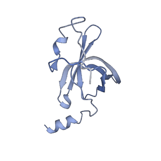 22464_7jsz_p_v1-1
ArfB Rescue of a 70S Ribosome stalled on truncated mRNA with a partial A-site codon (+2-IV)