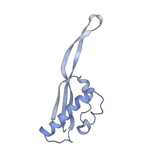 22464_7jsz_s_v1-1
ArfB Rescue of a 70S Ribosome stalled on truncated mRNA with a partial A-site codon (+2-IV)