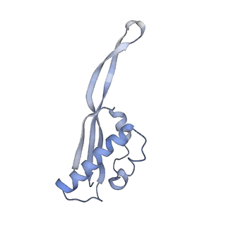 22464_7jsz_s_v1-2
ArfB Rescue of a 70S Ribosome stalled on truncated mRNA with a partial A-site codon (+2-IV)