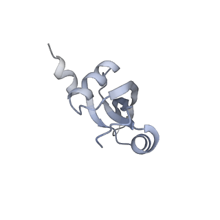 22464_7jsz_t_v1-2
ArfB Rescue of a 70S Ribosome stalled on truncated mRNA with a partial A-site codon (+2-IV)